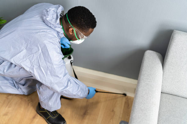 Reliable Port Allen, LA Pest control Solutions